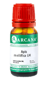 APIS MELLIFICA LM 12 Dilution