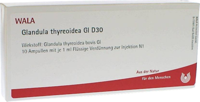 GLANDULA THYREOIDEA GL D 30 Ampullen