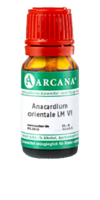 ANACARDIUM ORIENTALE LM 6 Dilution