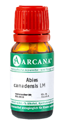 ABIES CANADENSIS LM 100 Dilution