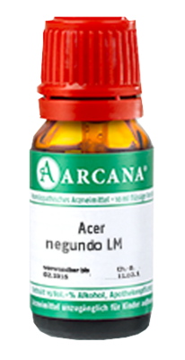 ACER negundo LM 10 Dilution