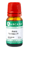 ALETRIS FARINOSA LM 13 Dilution