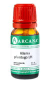 ALISMA plantago LM 20 Dilution