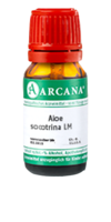 ALOE SOCOTRINA LM 18 Dilution