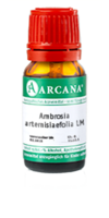 AMBROSIA ARTEMISIAEFOLIA LM 7 Dilution