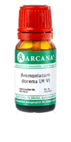 AMMONIACUM dorema LM 6 Dilution