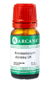 AMMONIACUM dorema LM 17 Dilution