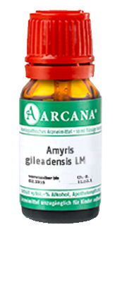 AMYRIS gileadensis LM 8 Dilution