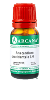 ANACARDIUM OCCIDENTALE LM 9 Dilution