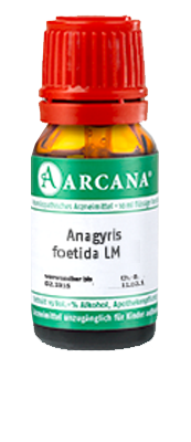 ANAGYRIS foetida LM 16 Dilution