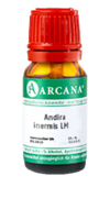 ANDIRA inermis LM 17 Dilution